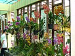Orchideenpark